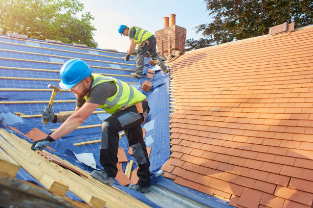 Best Metal Roofing Installation  in Lewisville, WA